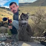 weird news in hindi - Owl's Viral Interview: Turkish Bird Lover Appears to Get Owl to "Talk" on Mike
